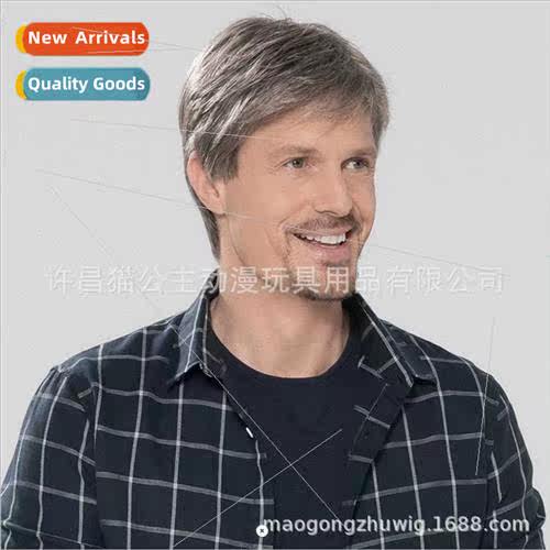 men wig pale gray handsome wig roses mesh chemical fiber hea
