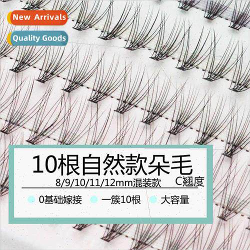 Five rows Mixed Natural Soft 0.07 Mink Velvet Eyelash Extens