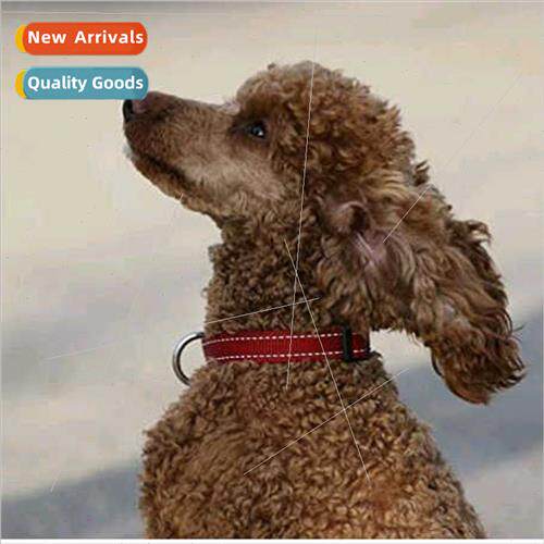 Diamond painting new DIY puppy full round diamond hand-appli