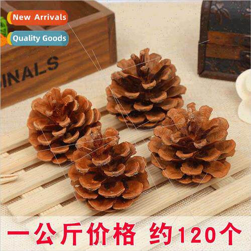Hand-picked oil pine photo props kindergarten handmade mater