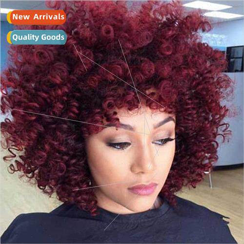 Wigs African Wigs Exploding Head Wigs Women Small Curly Hair