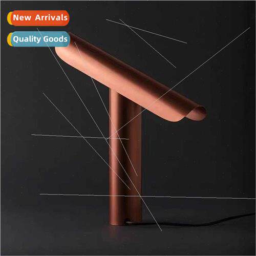 Creative personaly designer hotel guest room hall study led