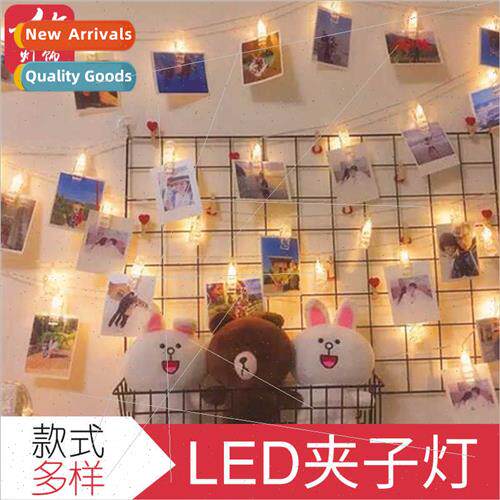 led photo clip light string wedding proposal confession room