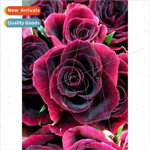 New living room handmade paste diamond full diamond plant de