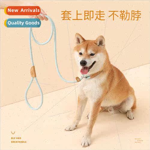 Dog leash medium large dogs universal safety buckle leash co