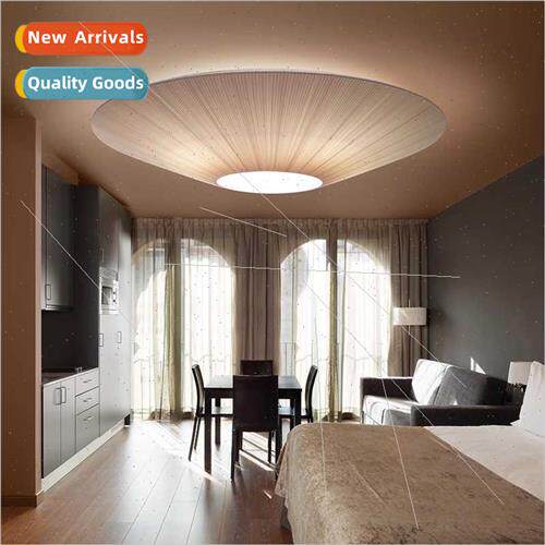 New new Chinese creative minimalist ceiling lamp simple  Jap