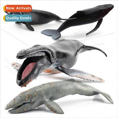 mulation undersea mammals humpback whale model marine life h