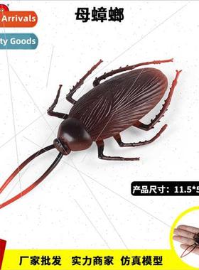 Wild Insects Model Complicated Toys Mother Cockroach Model O