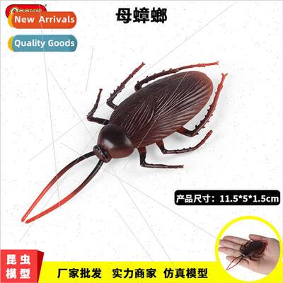 Wild Insects Model Complicated Toys Mother Cockroach Model O