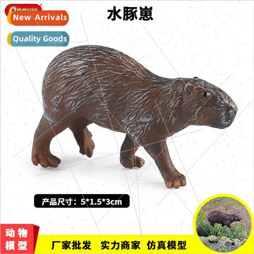 Animal toys wildlife model water dolphin rodent cognive desk
