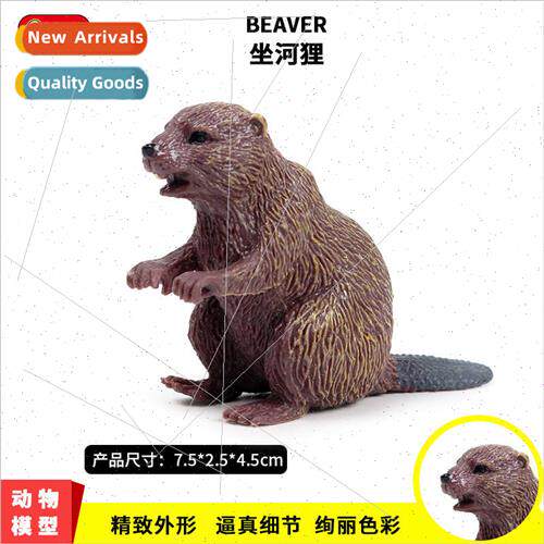 Model toys beaver Mini animals Children cognive toys model o