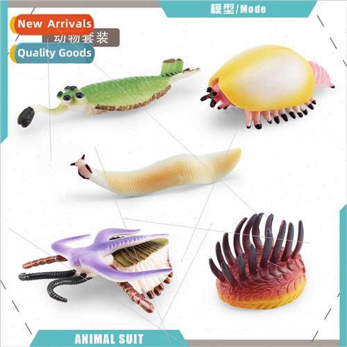 Cambrian Ancient Marine Animals Vivasia Worms Obabin Sea Sco