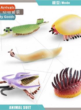 Cambrian Ancient Marine Animals Vivasia Worms Obabin Sea Sco