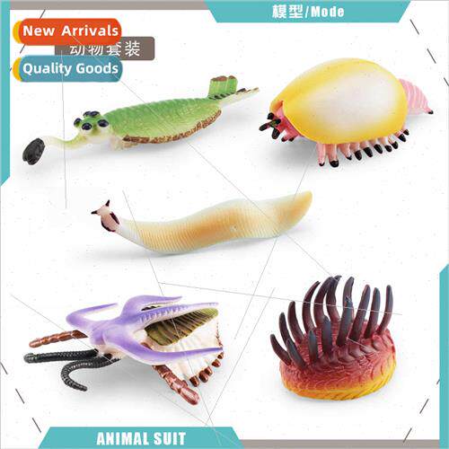 Cambrian Ancient Marine Animals Vivasia Worms Obabin Sea Sco