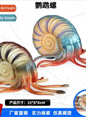 model toys ancient creatures nautilus conch conch fish tank