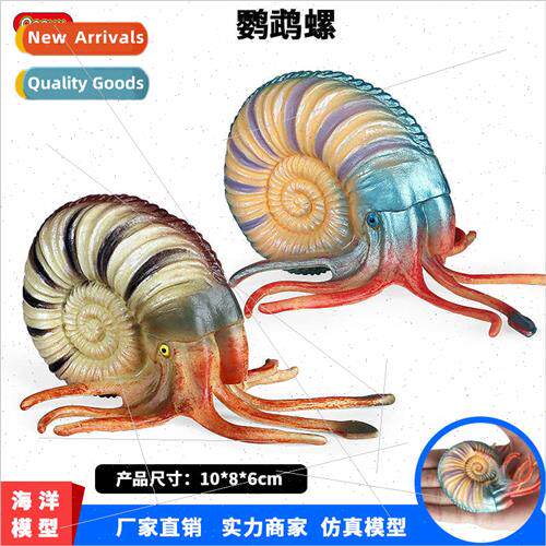 model toys ancient creatures nautilus conch conch fish tank