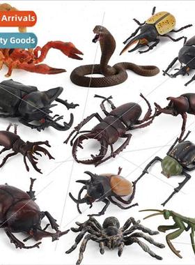 mulation insect model animal furnishings sandbox scene scien