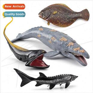 throat flounder Gray broad sturgeon Europe Chinese whale eel