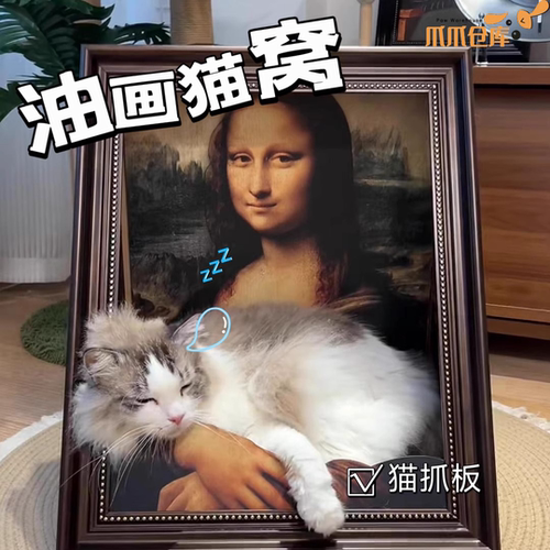 超有趣猫窝，猫咪猫抓板拍照利器