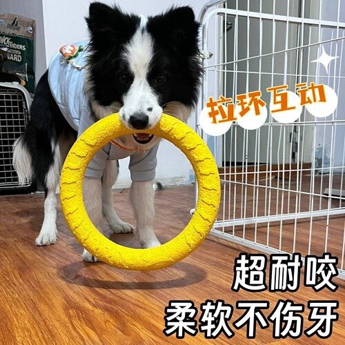 狗狗拔河玩具拉环互动自嗨解闷