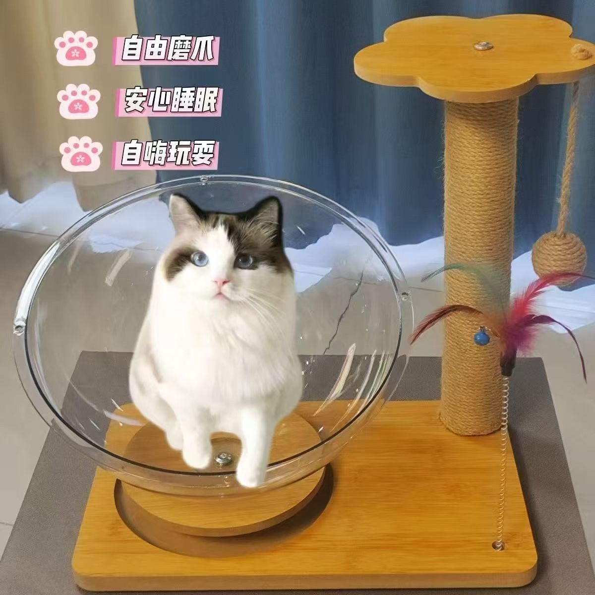 太空舱冰凉猫窝，颜值实力并存
