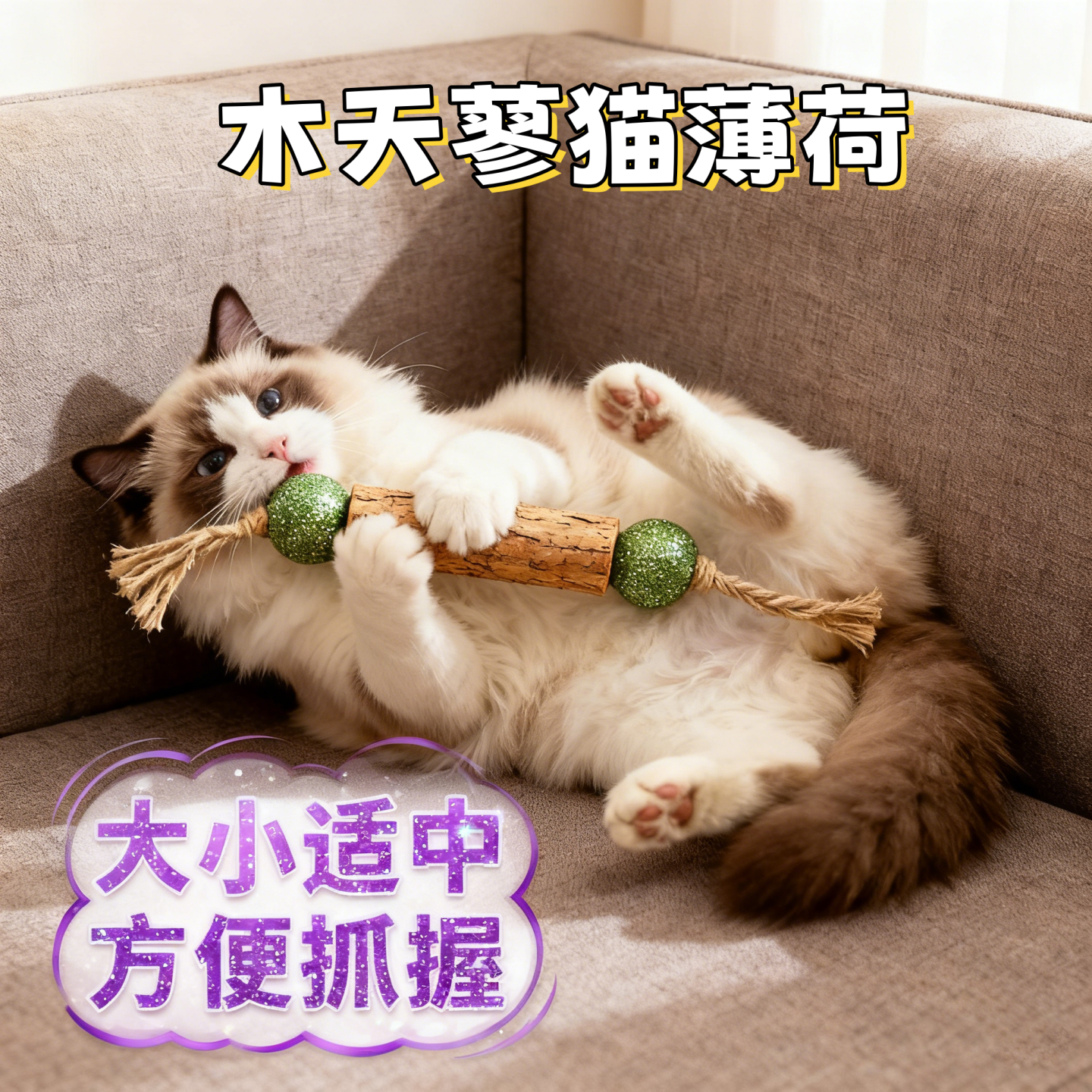 木天蓼猫薄荷玩具球磨牙洁齿