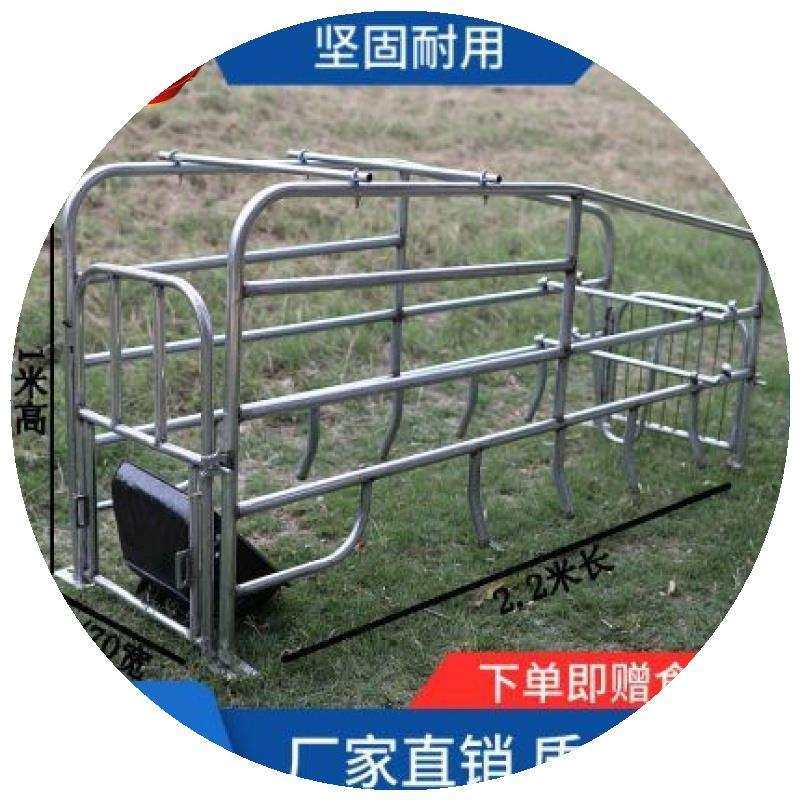 母猪产床产床母猪设备猪产床母猪分娩床保育两用限位栏落地式