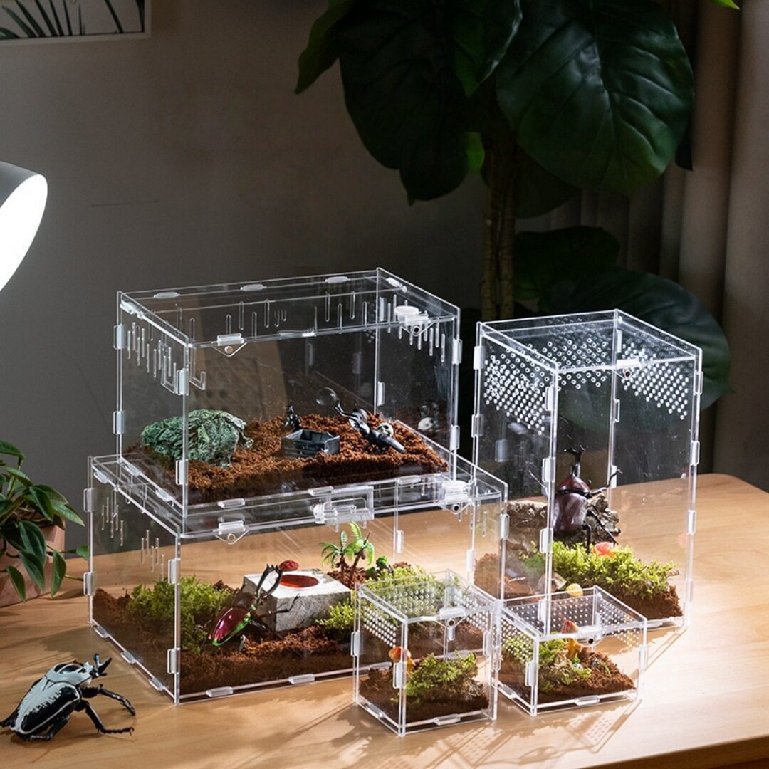 3.爬宠饲养箱陆龟守宫鬃狮蜥蜴亚克力保温箱造景爬虫盒