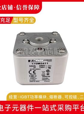 170M5408 170M5409 170M5410 170M5411 170M5412 170M5413熔断器