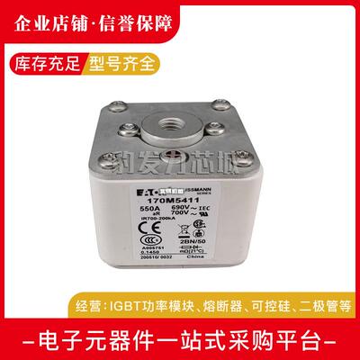 170M5408 170M5409 170M5410 170M5411 170M5412 170M5413熔断器