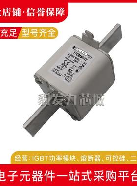 170M5952/5953/5954/5955/5956/5957/595/5959/5960/5961熔断器