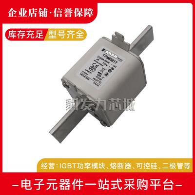 170M5952/5953/5954/5955/5956/5957/595/5959/5960/5961熔断器