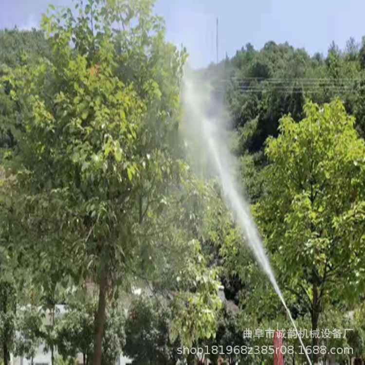 农用打药机160L高压远程园林植保远程果园养殖场室内外消毒机