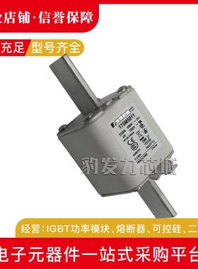 170M5744 170M5745 170M5746 170M5747/5748/5749/5750全新熔断器