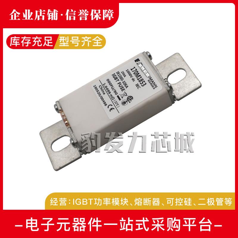 170M2614/2615/2616/2617/2618/2619/2620/2621全新熔断器现货