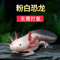 Шестиугольный большой динозавр, 8-10см, 1 шт