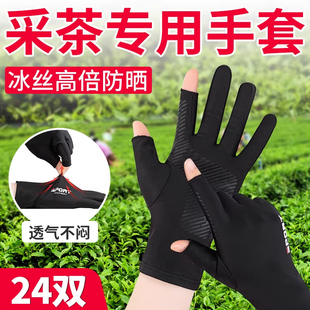 冰丝采茶专用手套薄款专业防晒防水女小号手指套摘茶叶露二指透气