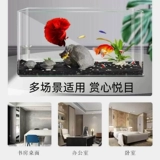 Акриловый аквариум, шестиугольный прямоугольный пластиковый прозрачный стеклянный динозавр, Германия