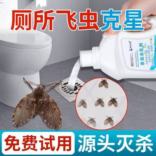 下水道杀虫剂小飞虫五优家家蛾