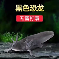 Шестиугольный черный большой динозавр, 8-10см, 1 шт