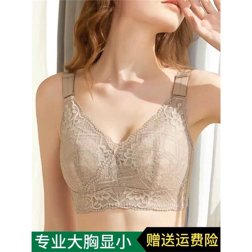 懋溯古今薄款大胸显小文胸缩胸全罩杯无钢圈聚拢收副乳防下垂上托