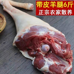 带皮羊腿羊后腿羊前腿散养带皮山羊绵羊腿肉新鲜羊排羊脖子