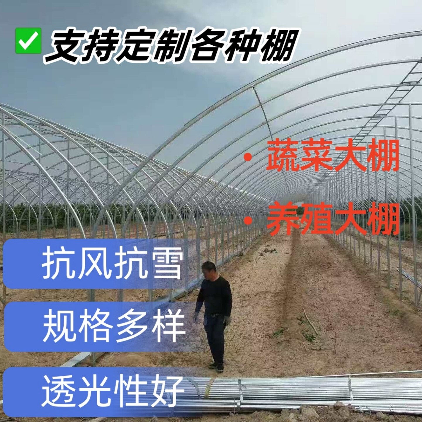 椭圆管暖棚蔬菜棚包塑钢管热镀锌管大棚骨架温室养猪牛羊拱棚