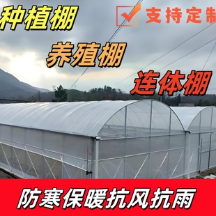 椭圆管仓库养鸡包塑钢管大棚骨架牛羊种植香菇水产棚养猪养殖棚