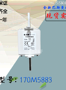 全新热卖170M5881原装巴斯曼熔断器170M5882电子保险丝170M5883