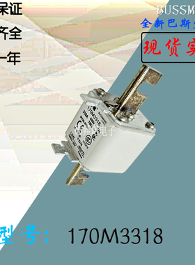 170M3319全新热卖供应巴斯曼熔断器170M3320库存现货直销170M3321