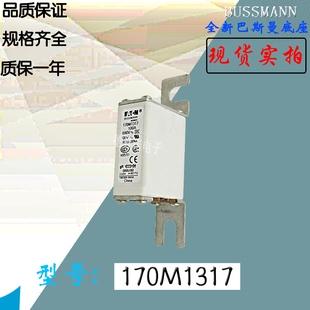 170M1317全新热卖 供应巴斯曼熔断器170M1318电子保险丝170M1319