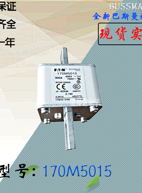 170M4019全新热卖供应巴斯曼熔断器170M5008电子保险丝170M5009