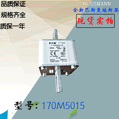 170M5061全新热卖供应巴斯曼熔断器170M5062电子保险丝170M5063