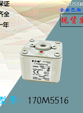 170M5516全新热卖供应巴斯曼熔断器170M5517库存现货直销170M5518